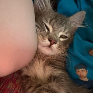 Meet your Posher, Madison